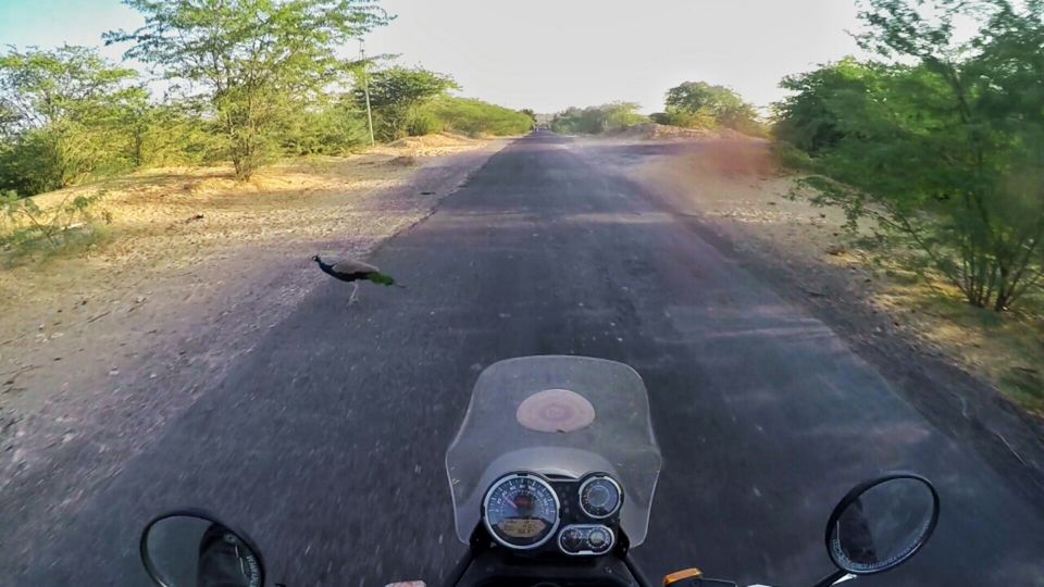 Photo of Royal Enfield Tour of Rajasthan Day 5 by C S Prasanjit Kumar