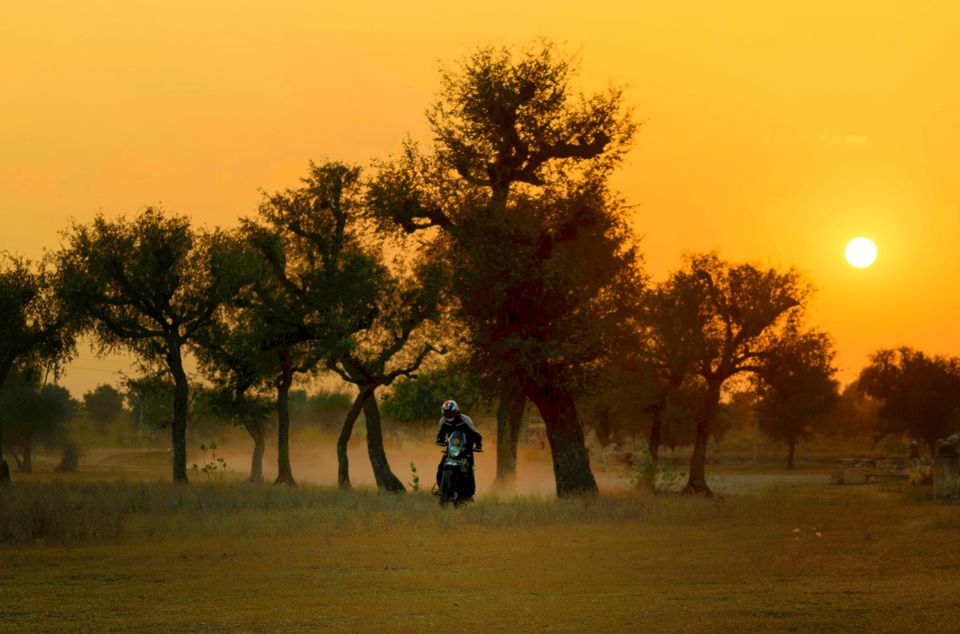 Photo of Mahansar, Rajasthan, India by C S Prasanjit Kumar
