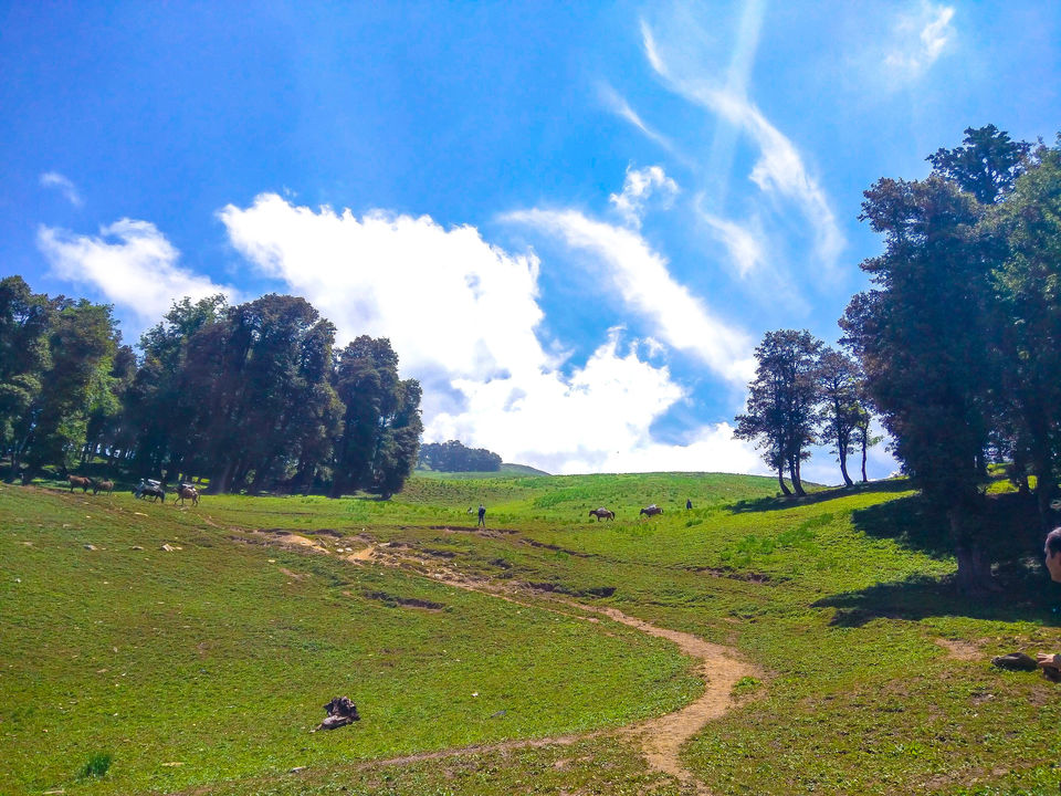 Photo of Everything you need to know before trekking to Bhrigu! 5/21 by Lovers on the run