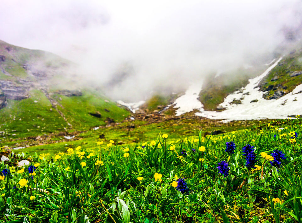 Photo of Everything you need to know before trekking to Bhrigu! 14/21 by Lovers on the run