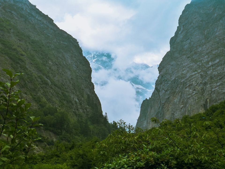 Photo of The Story of the New Phase of the Valley of Flowers After the 2013 Floods by Kamakshi Pal
