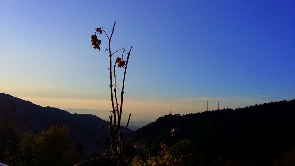 Photo of I've Lost Myself Somewhere In The Middle Of Nowhere 4/14 by Kamakshi Pal