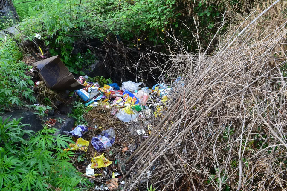 Photo of Why It Is Important To Make Our Favorite Place Kasol 'A Plastic Free Zone'? by Kamakshi Pal