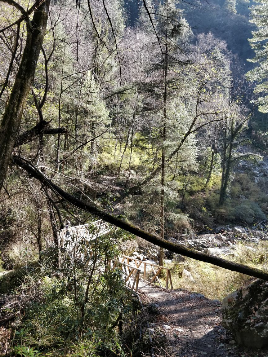 Photo of Grahan: An Abode Of Bliss 2/5 by Him Trek