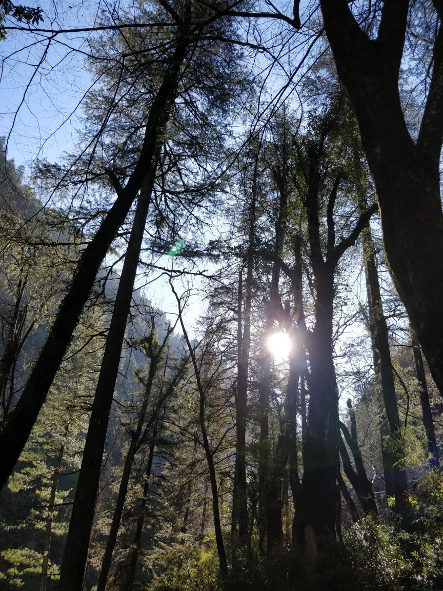 Photo of Grahan: An Abode Of Bliss 5/5 by Him Trek