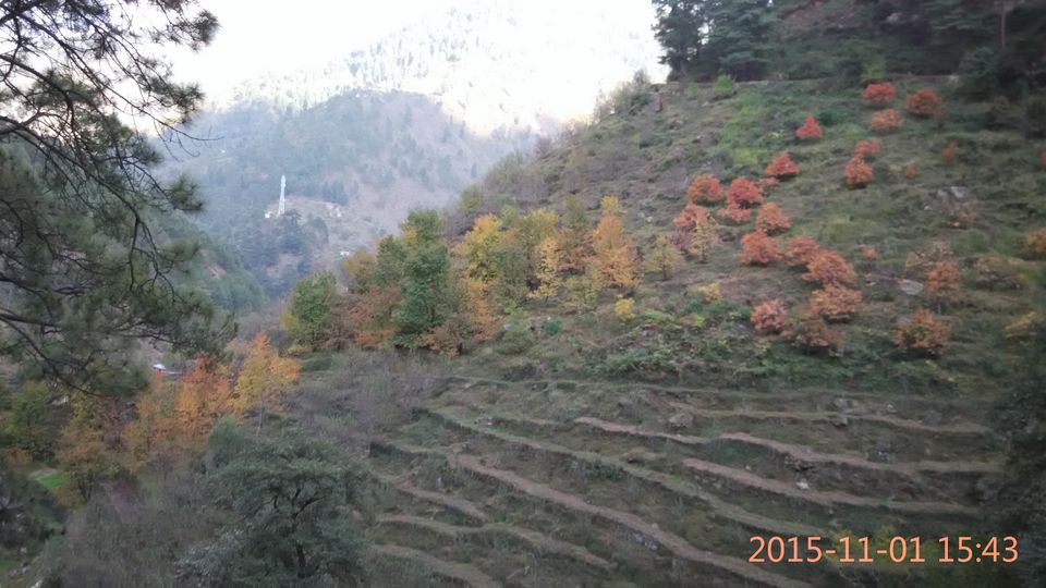 Photo of A Happy-Birthday with strangers up hills - Part 1 37/58 by Neethu