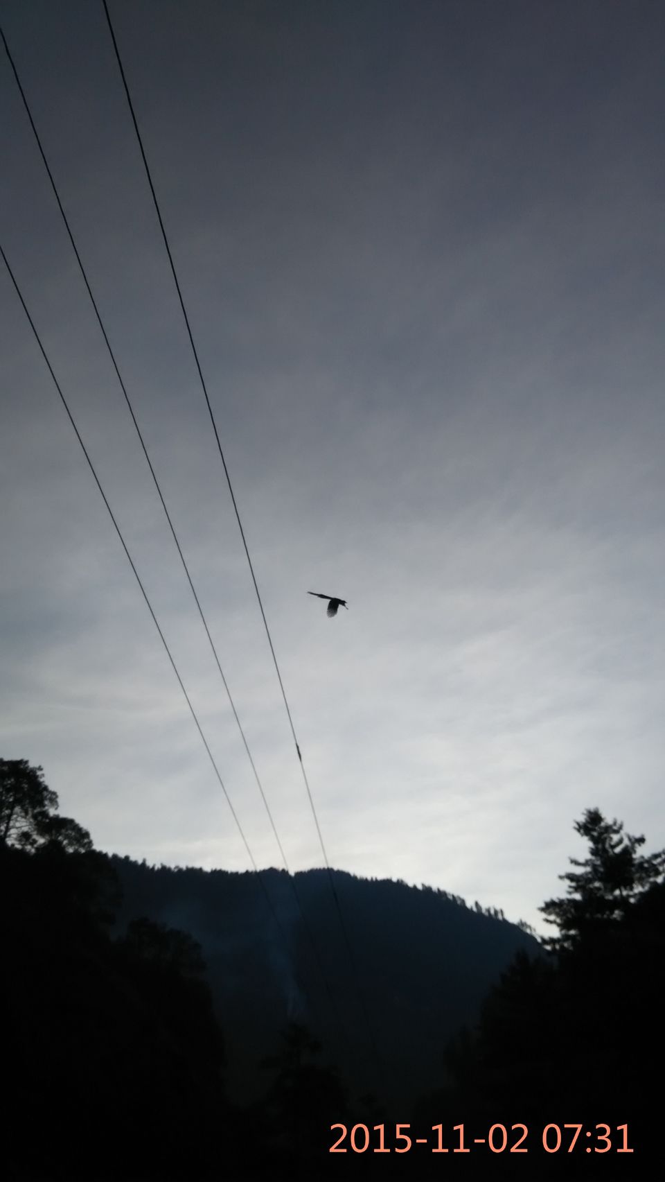 Photo of A Happy-Birthday with strangers up hills - Part 1 44/58 by Neethu