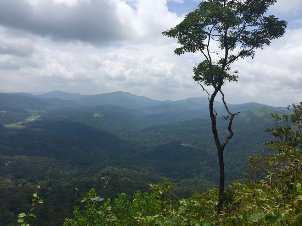 Photo of Slice of Heaven: Chikmagaluru! 21/30 by Sneha Marappa