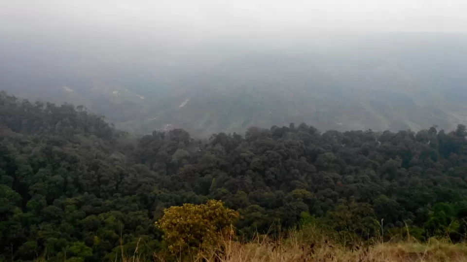 Photo of Valparai, Valparai, Tamil Nadu, India by Sneha Marappa