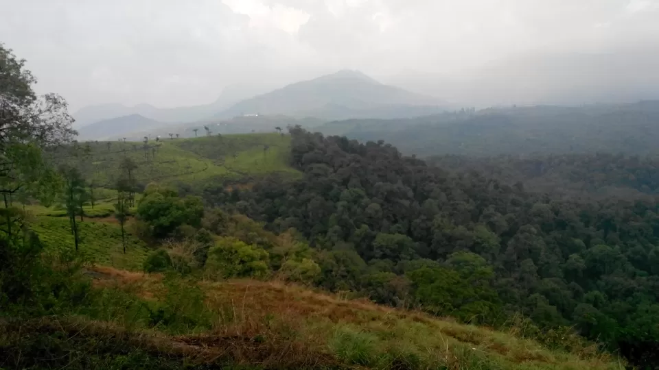 Photo of Valparai, Valparai, Tamil Nadu, India by Sneha Marappa