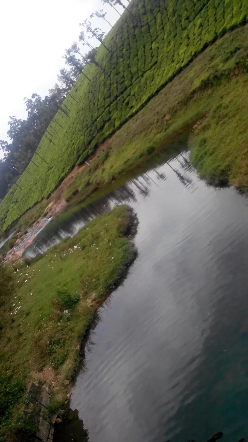 Photo of Valparai, Valparai, Tamil Nadu, India by Sneha Marappa