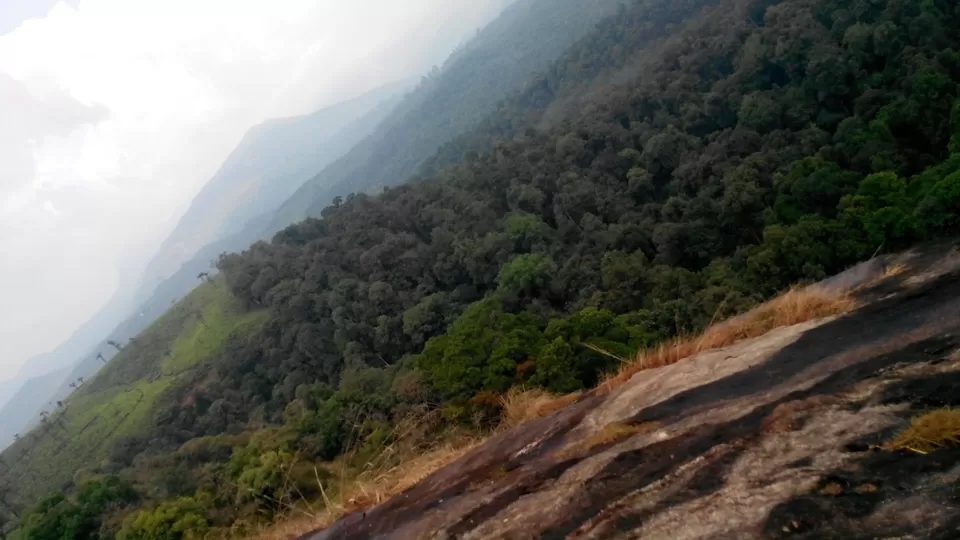 Photo of Valparai, Valparai, Tamil Nadu, India by Sneha Marappa