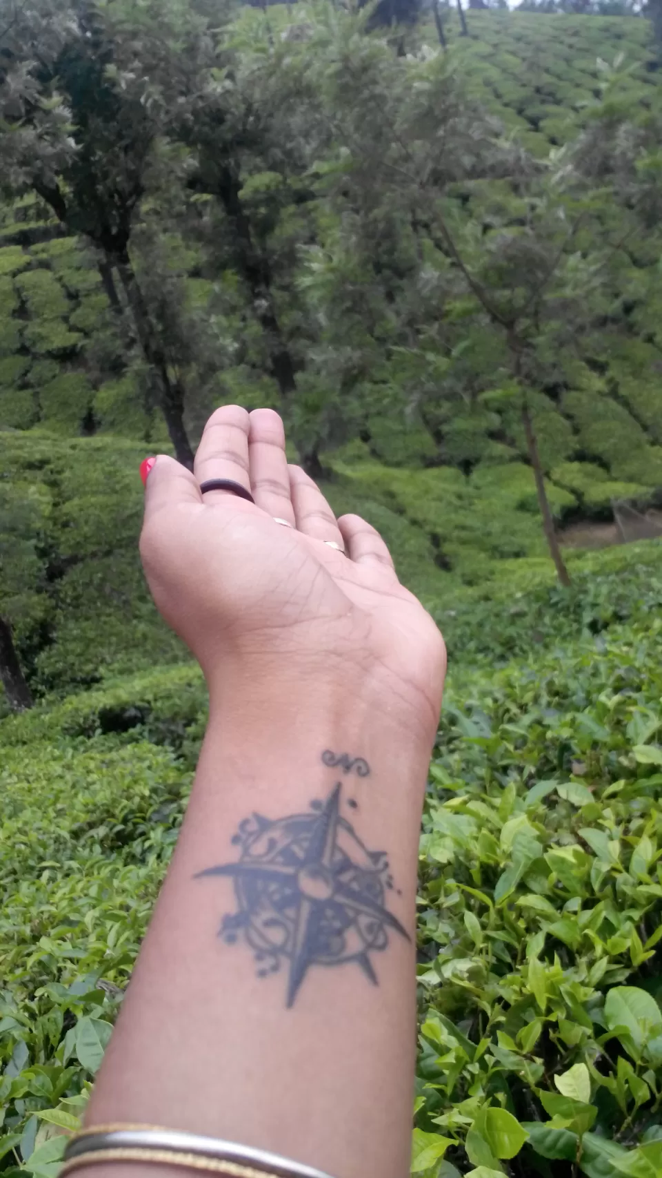 Photo of Valparai, Valparai, Tamil Nadu, India by Sneha Marappa