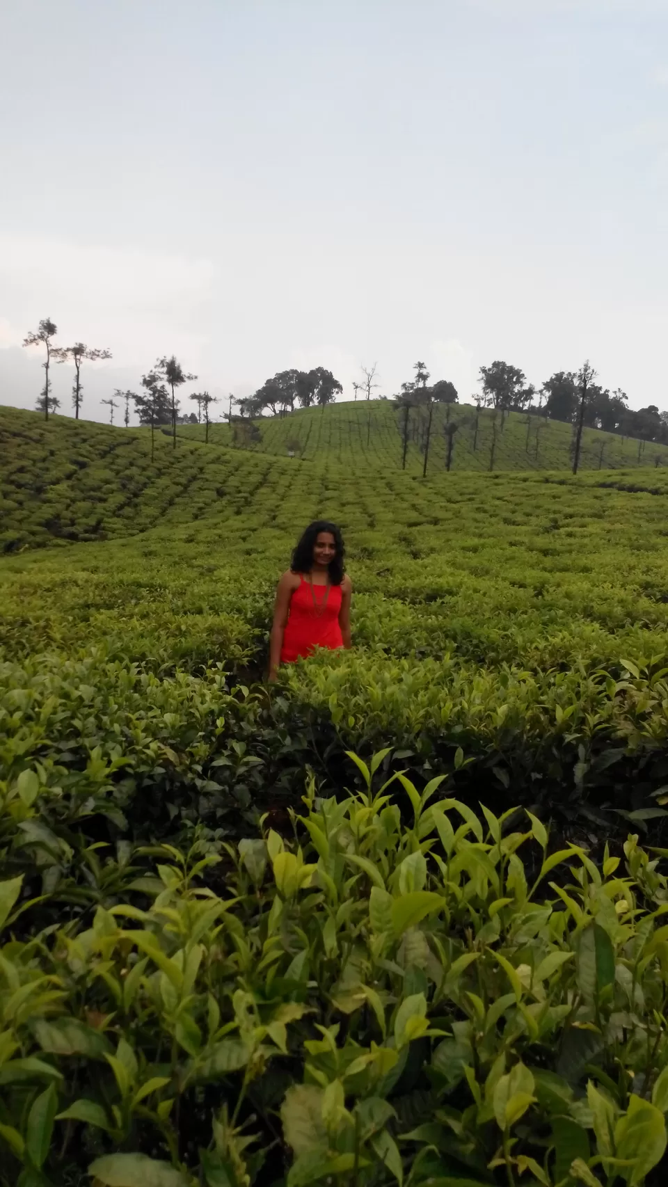 Photo of Valparai, Valparai, Tamil Nadu, India by Sneha Marappa