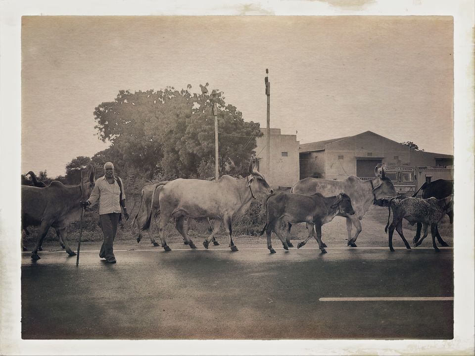 Photo of Dandi Kooch: walking the Gandhi way 3/94 by Ravinder Singh