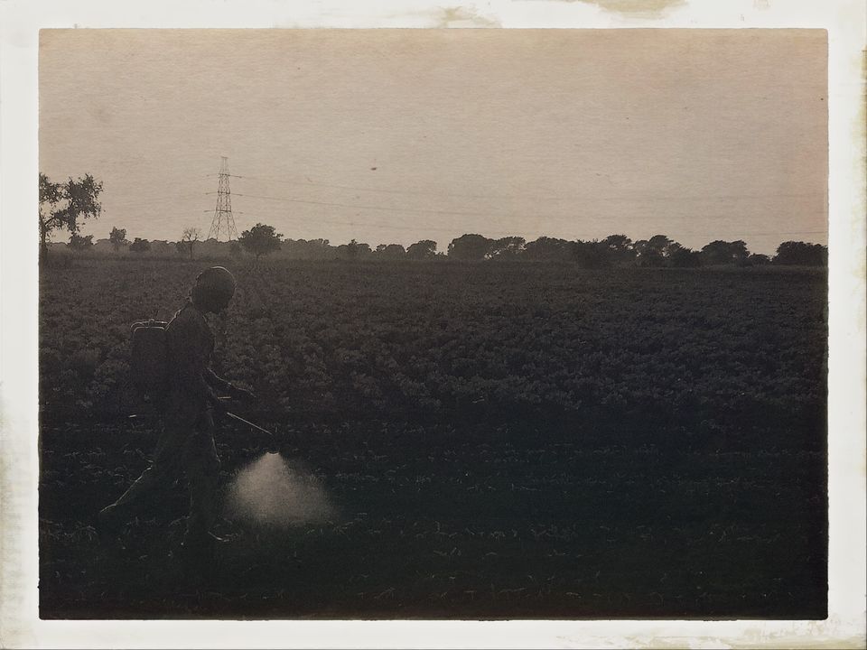 Photo of Dandi Kooch: walking the Gandhi way 8/94 by Ravinder Singh