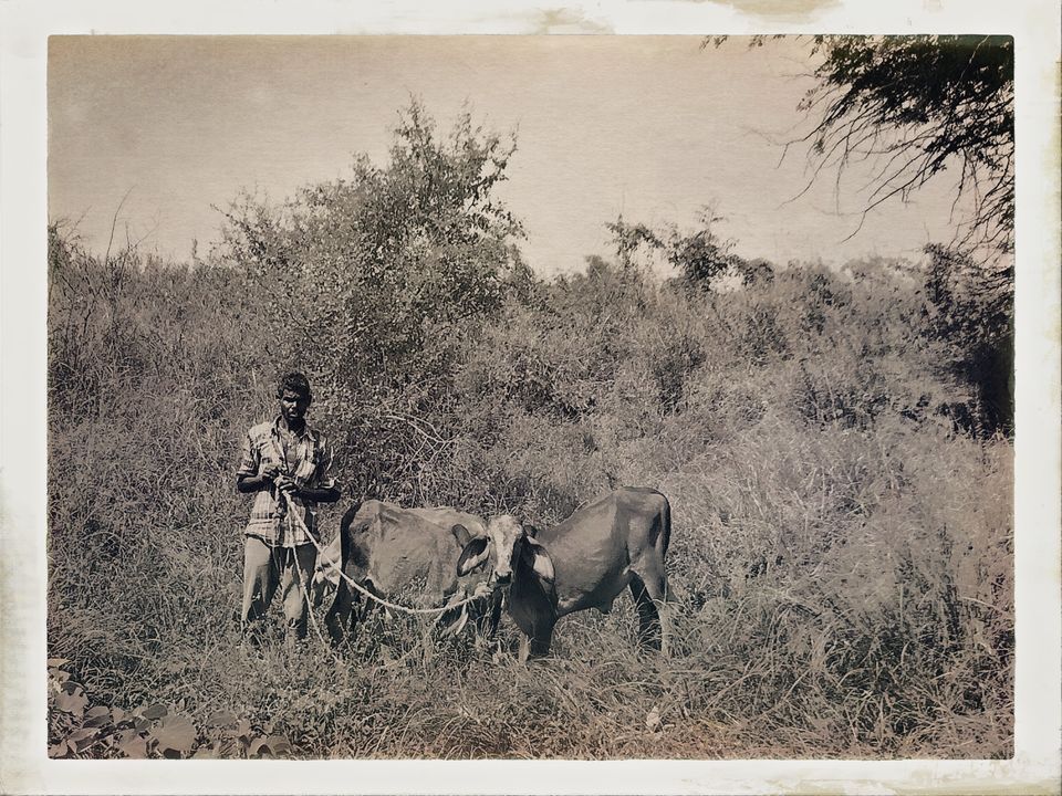 Photo of Dandi Kooch: walking the Gandhi way 17/94 by Ravinder Singh