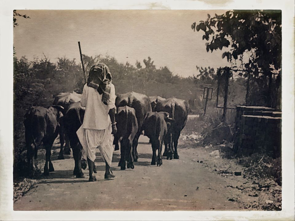 Photo of Dandi Kooch: walking the Gandhi way 29/94 by Ravinder Singh