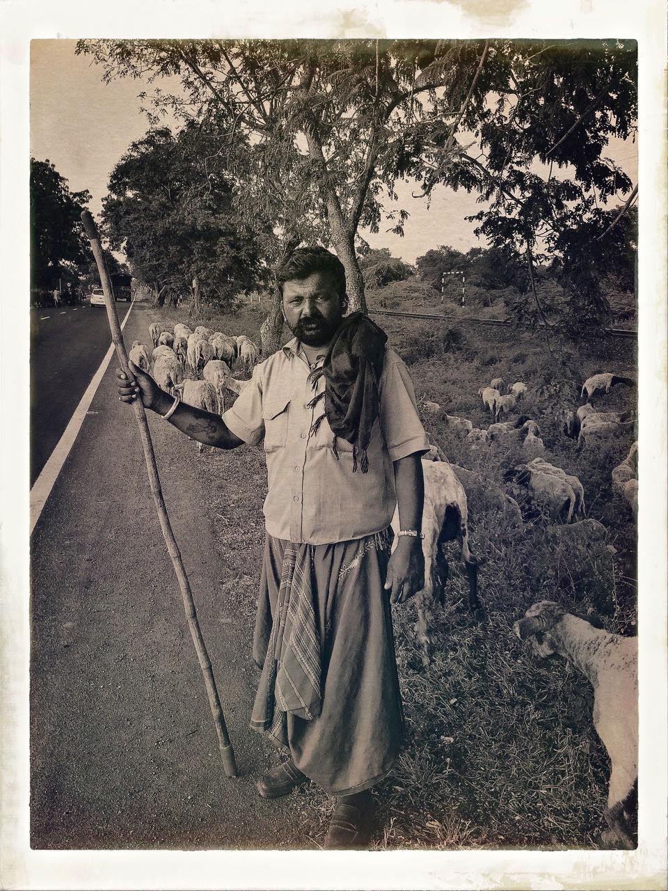 Photo of Dandi Kooch: walking the Gandhi way 35/94 by Ravinder Singh