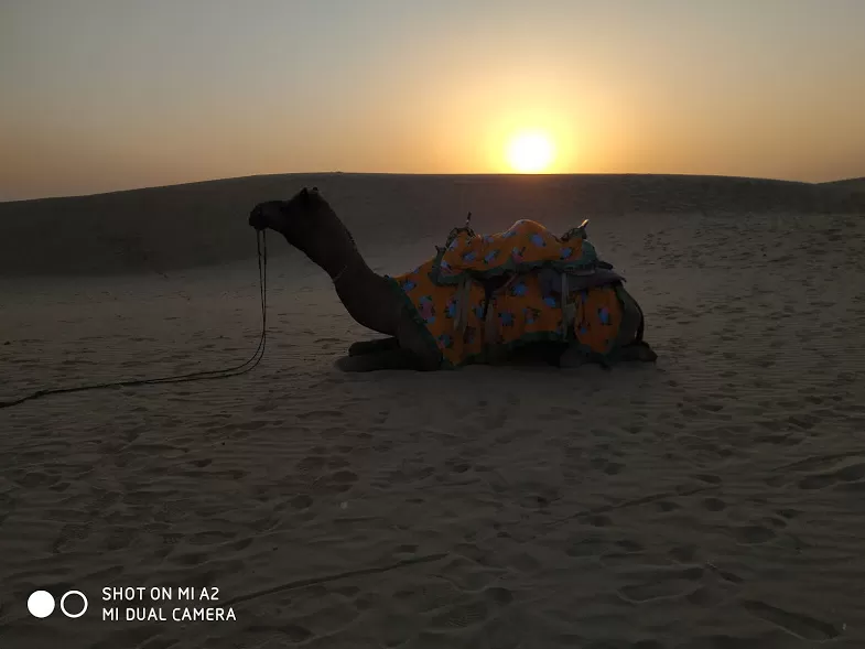 Photo of Jaisalmer : Budget Trip to Culturally Enriched Majestic Deserts by Namita Singh