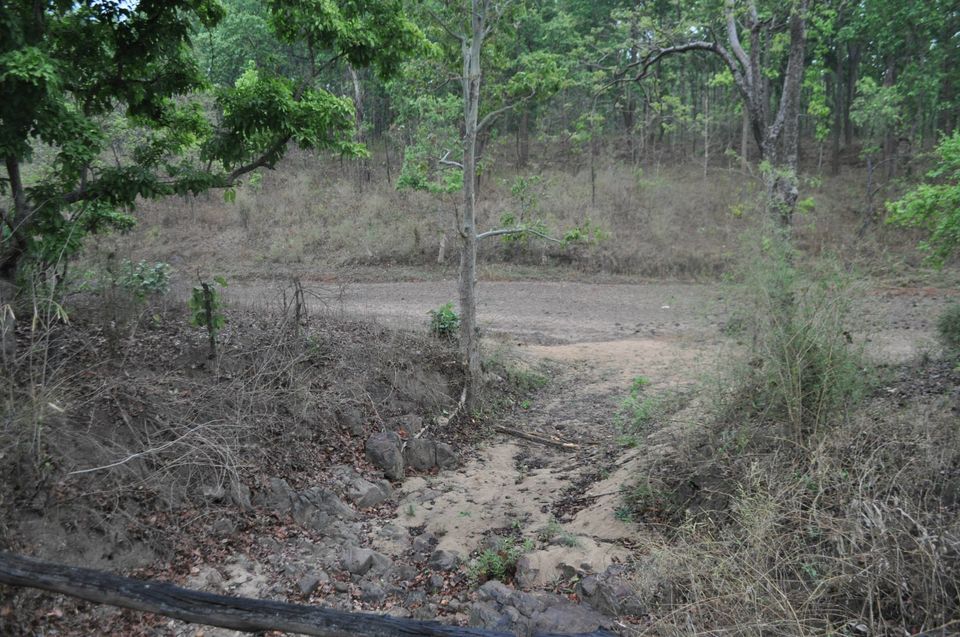 Photo of Kanha National Park May 2014 by Vaibhav Sharma