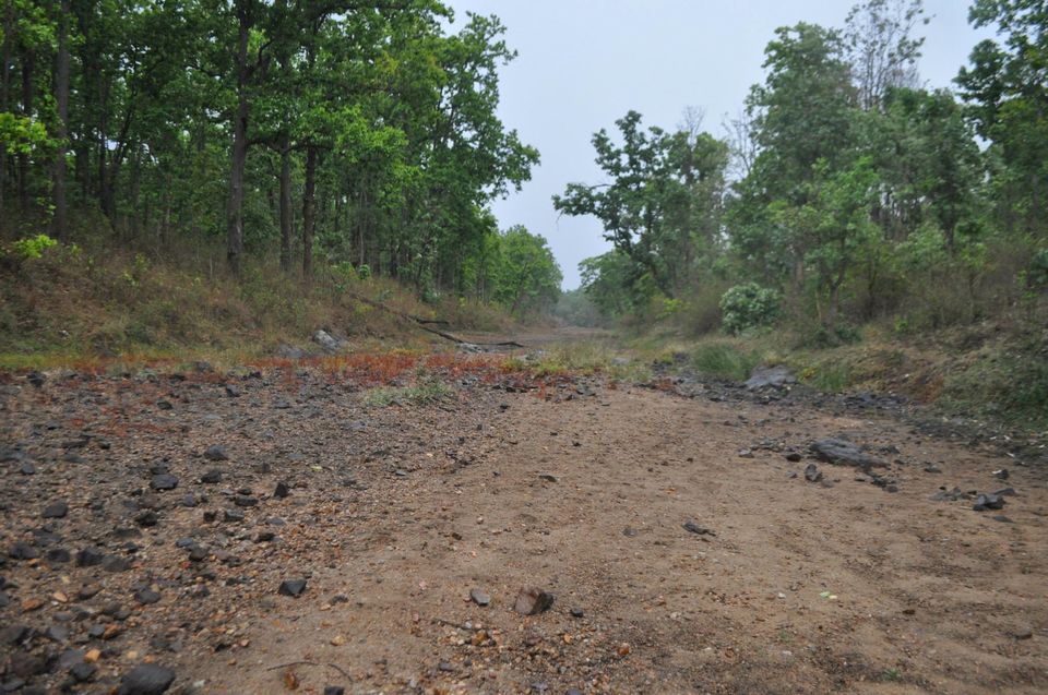 Photo of Kanha National Park May 2014 by Vaibhav Sharma