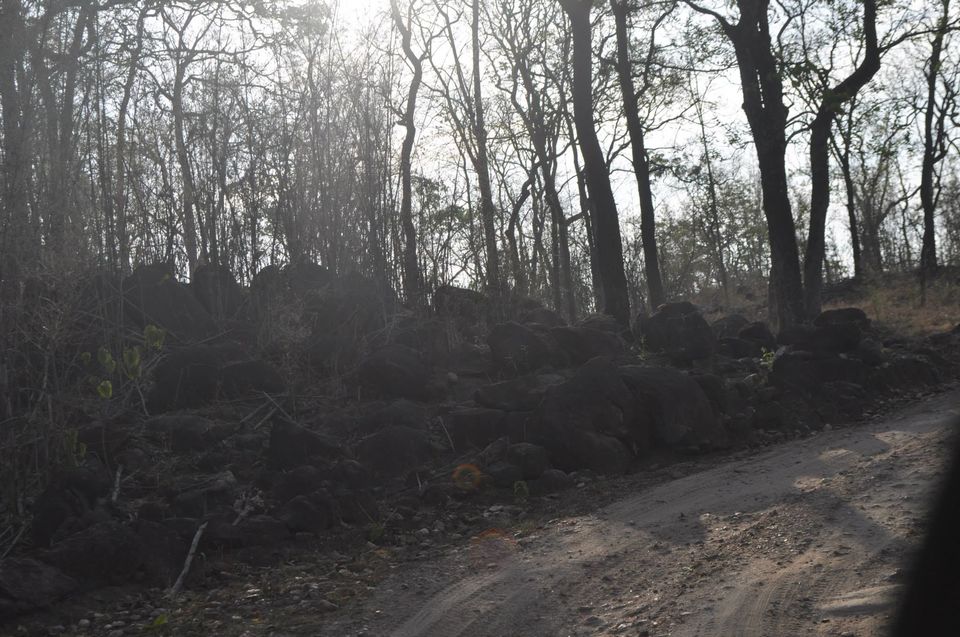 Photo of Kanha National Park May 2014 by Vaibhav Sharma