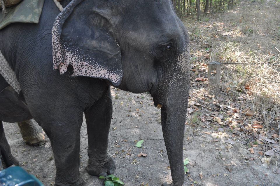 Photo of Kanha National Park May 2014 by Vaibhav Sharma