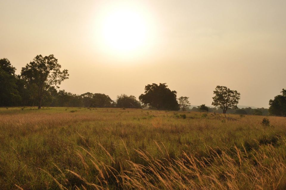 Photo of Kanha National Park May 2014 by Vaibhav Sharma