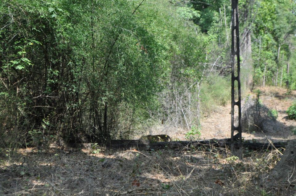 Photo of Kanha National Park May 2014 by Vaibhav Sharma