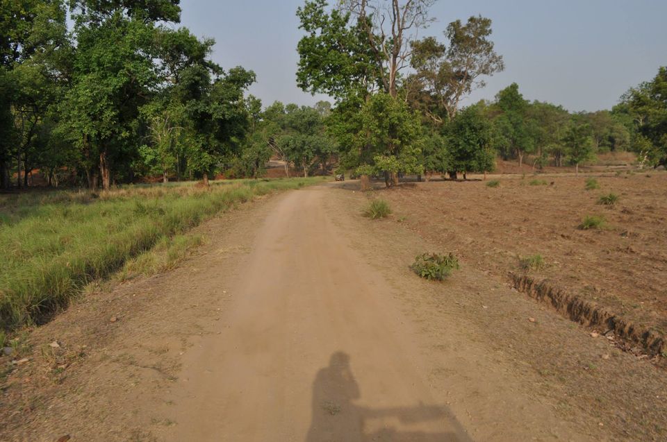 Photo of Kanha National Park May 2014 by Vaibhav Sharma
