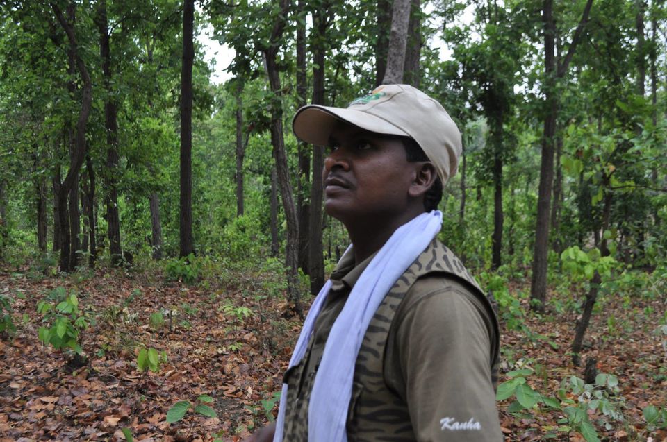 Photo of Kanha National Park May 2014 by Vaibhav Sharma