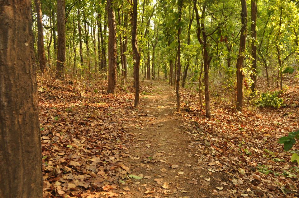 Photo of Kanha National Park May 2014 by Vaibhav Sharma
