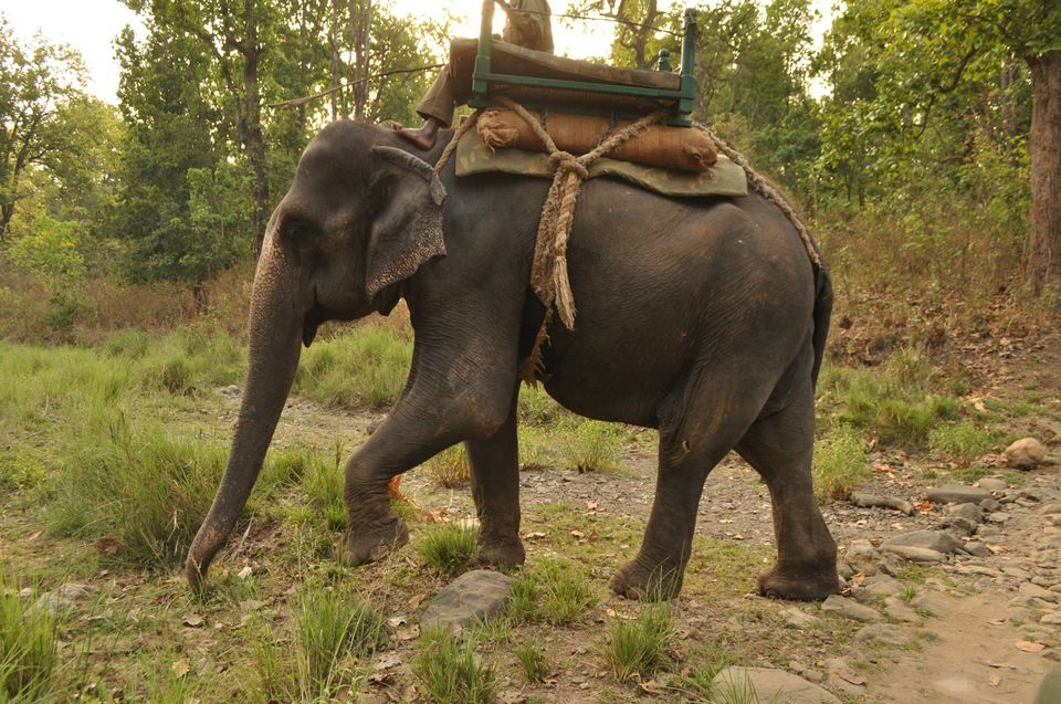 Photo of Kanha National Park May 2014 by Vaibhav Sharma