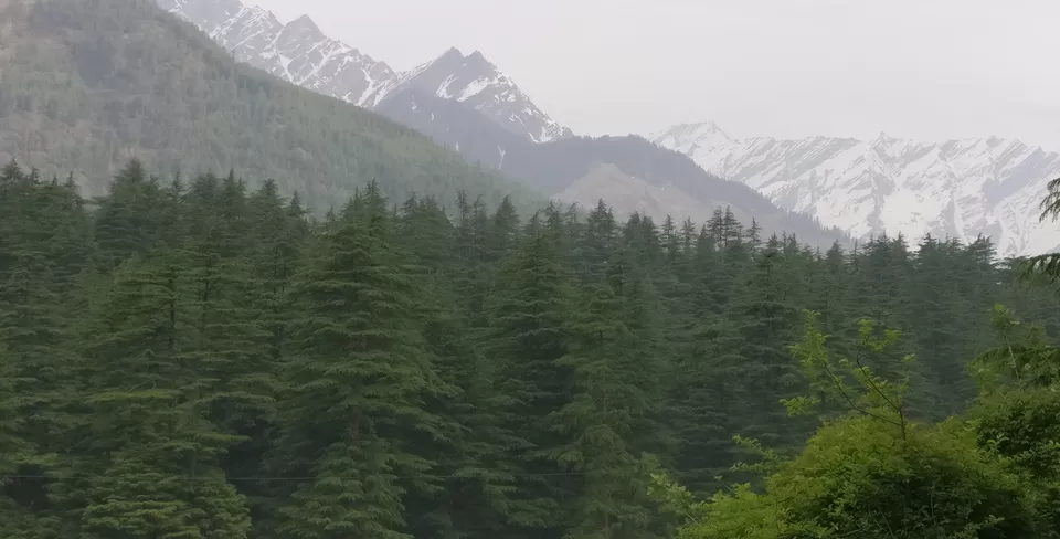 Photo of Manali, Himachal Pradesh, India by Pramod Krishna Prasad