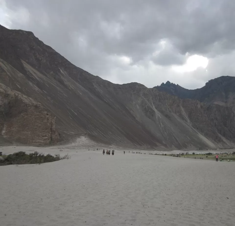 Photo of Hunder Sand Dunes, Hunder by Pramod Krishna Prasad