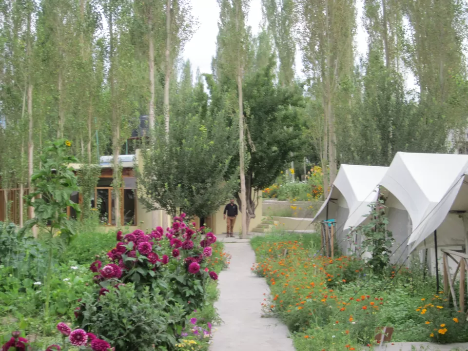 Photo of OYO 5289 Mystique Meadows Swiss Cottage Camps, Sumur, 194401 by Pramod Krishna Prasad