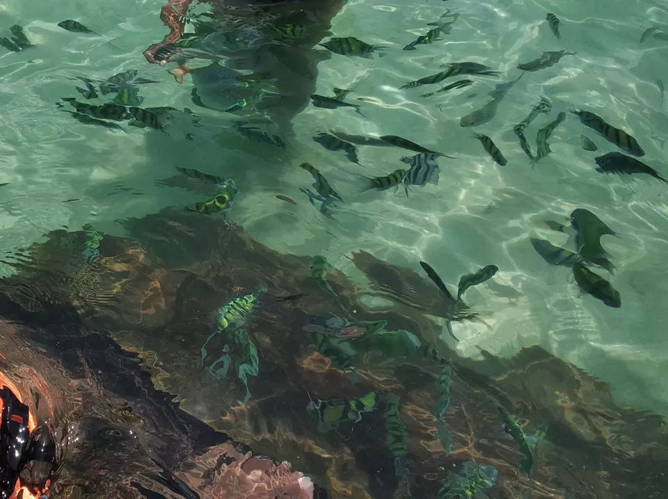 Photo of Koh Khai Nok, Phru Nai, Ko Yao District, Phang-nga, Thailand by Pramod Krishna Prasad