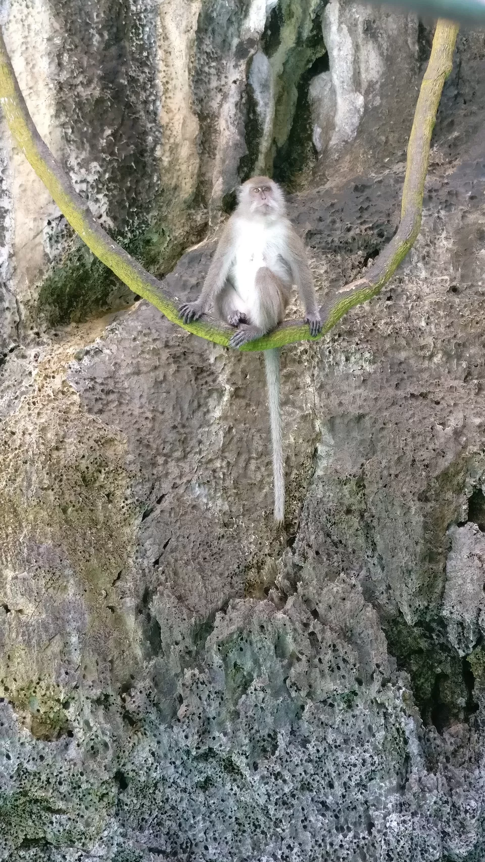Photo of Monkey Beach, Krabi, Thailand by Pramod Krishna Prasad