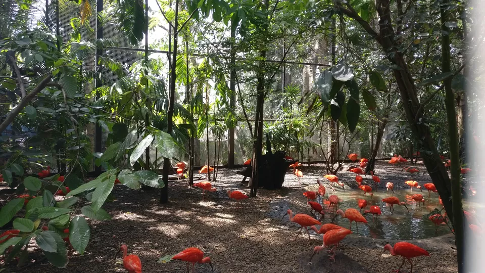 Photo of Safari World, Panya Indra Road, Sam Wa Tawan Tok, Khlong Sam Wa, Bangkok, Thailand by Pramod Krishna Prasad