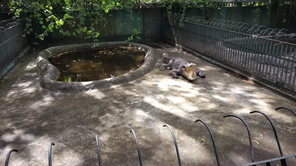 Photo of Safari World, Panya Indra Road, Sam Wa Tawan Tok, Khlong Sam Wa, Bangkok, Thailand by Pramod Krishna Prasad