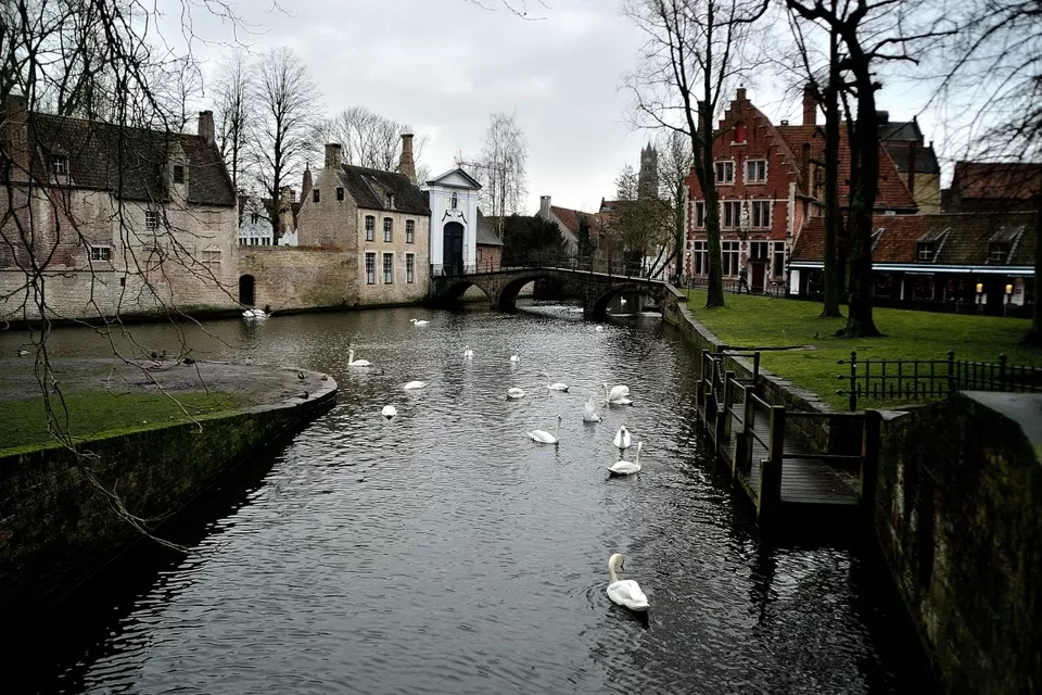 Photo of Belgium by Neelendra Nath