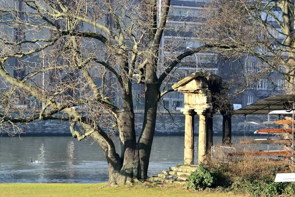 Photo of Belgium by Neelendra Nath