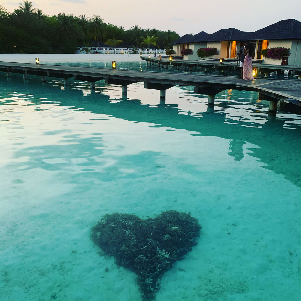 Photo of Paradise Island Resort, Maldives, Maldives by Aditi Sukinkar