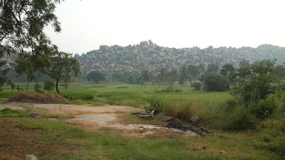Photo of Whimsical Hampi 15/17 by Kripa Williams