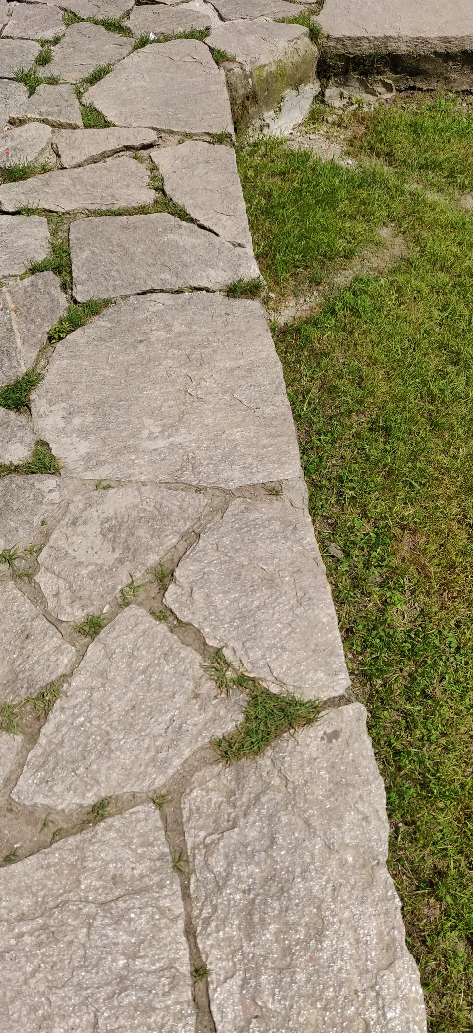 Photo of Delhi, India by gradual_inc