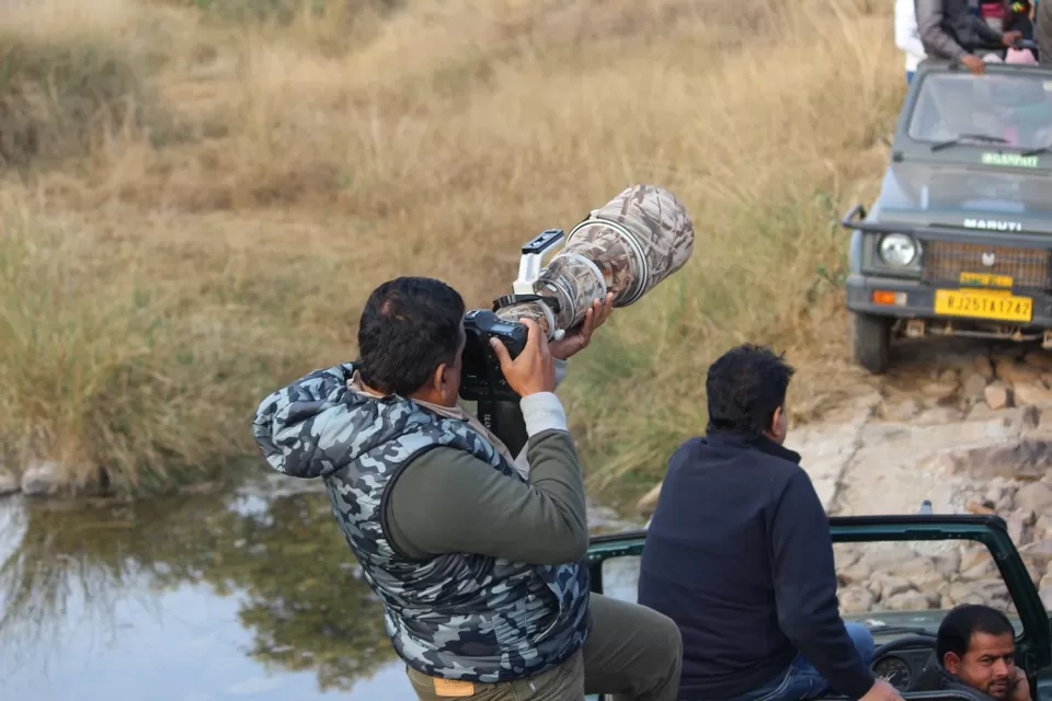 Photo of Ranthambore National Park Safari, Vikas Marg, Laxmi Nagar, New Delhi, Delhi, India by corporateslave