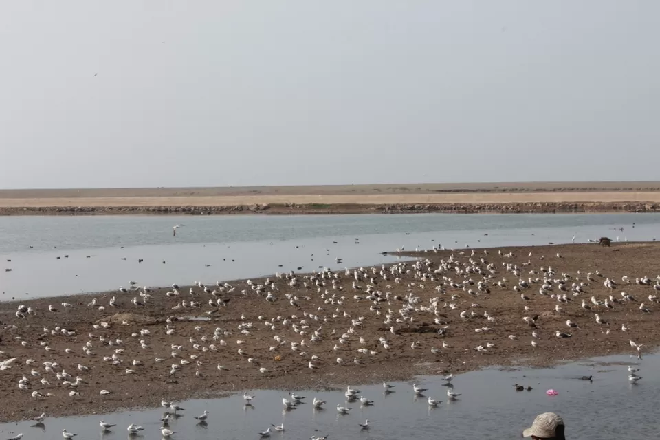 Photo of Somnath Temple Parking, Prabhas Patan, Gujarat, India by corporateslave