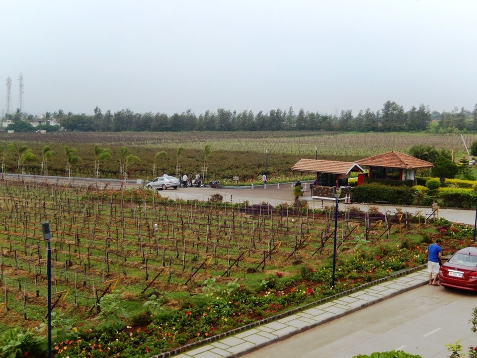 Photo of Sula Vineyards, Nashik, Maharashtra, India by corporateslave