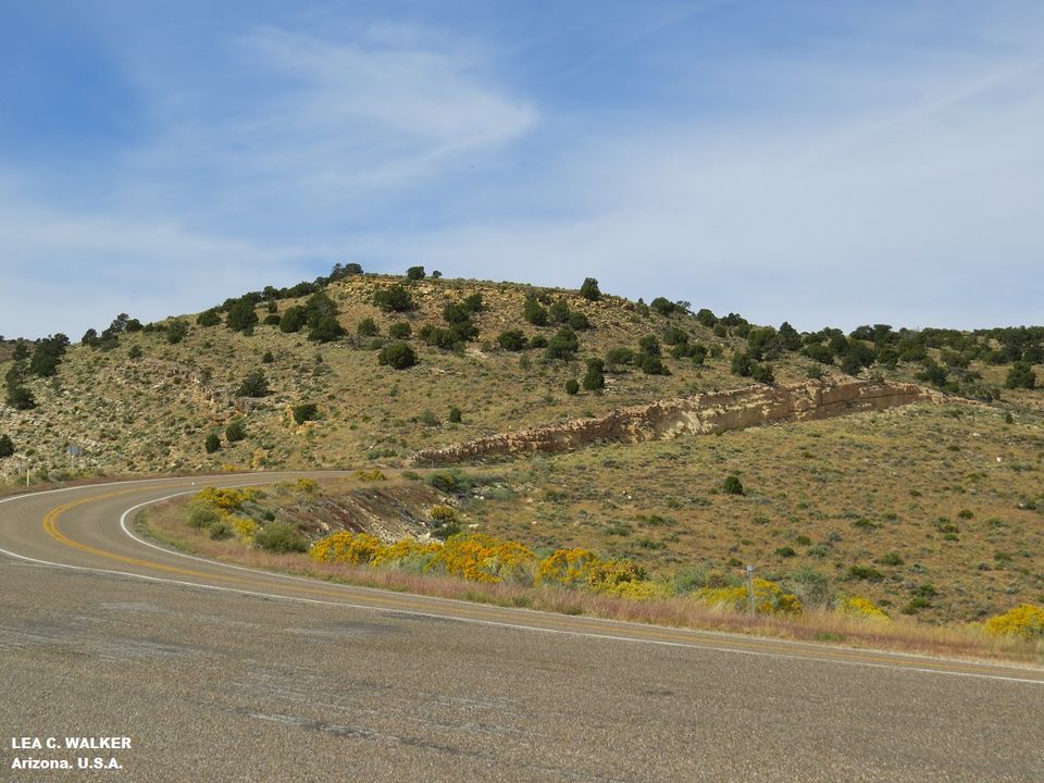 Photo of US Route 89 - The Ultimate Road Trip 1/21 by Lea Walker
